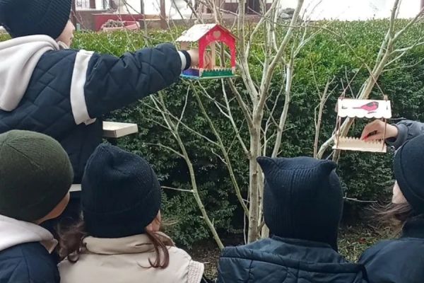 img_20260324_171320_29166B4A037-805E-AFF5-70E5-DF8F15CC0122.jpg